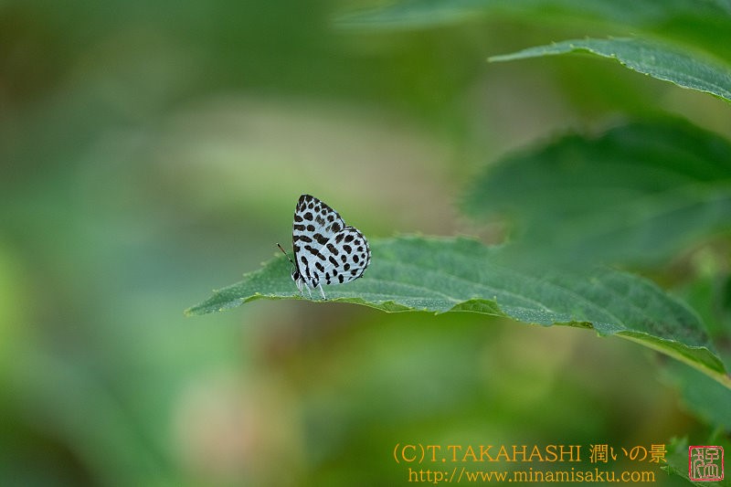 ../Images/7R240914 (173).jpg